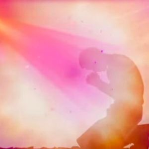 Meet your Posher, Rajni